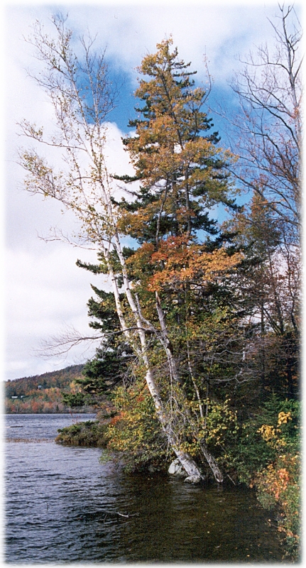 NH Secluded Lake, New England America.jpg